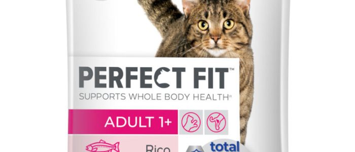 Ajuste Perfecto: Imagen de Encaje Ideal y Preciso